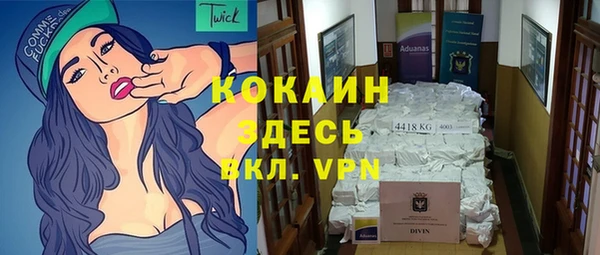 мдпв Козловка