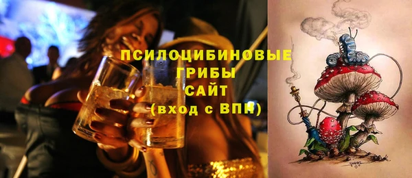 мдпв Козловка