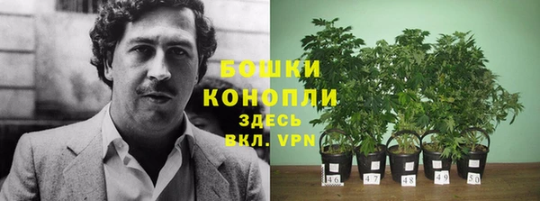 хмурый Козельск